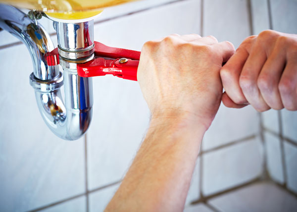 About Pine Top Plumbers